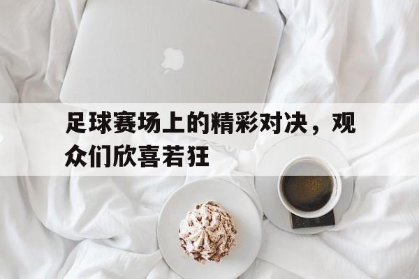足球赛场上的精彩对决，观众们欣喜若狂的简单介绍